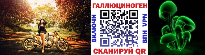 Псилоцибиновые грибы Psilocybe  цены   Копейск 
