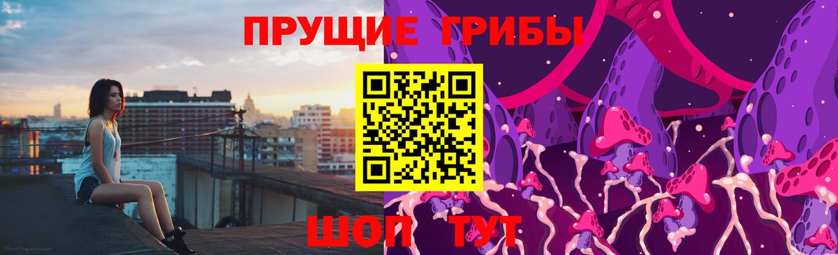 Копейск  Псилоцибиновые грибы Cubensis  Вход с VPN 